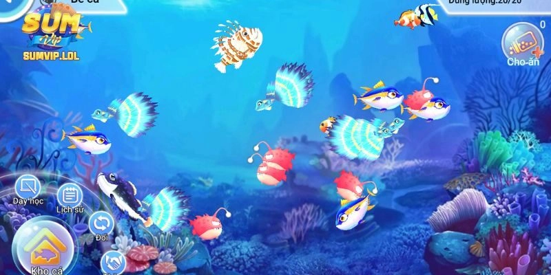 Bể Cá Hoàng Gia Sumvip: Chơi Sao Để Thắng Lớn Liên Tục?