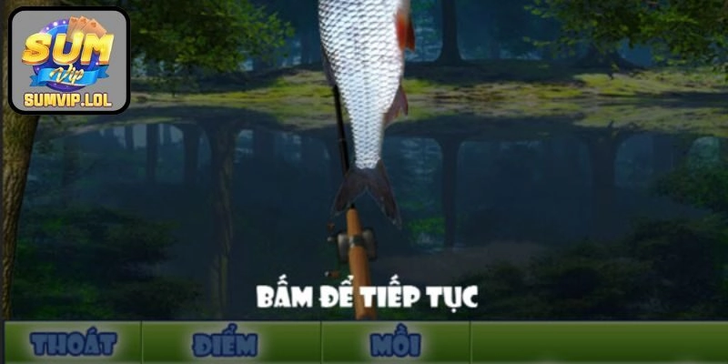 Áp dụng chiến thuật cách khôn ngoan để giành thưởng lớn